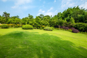 Park have